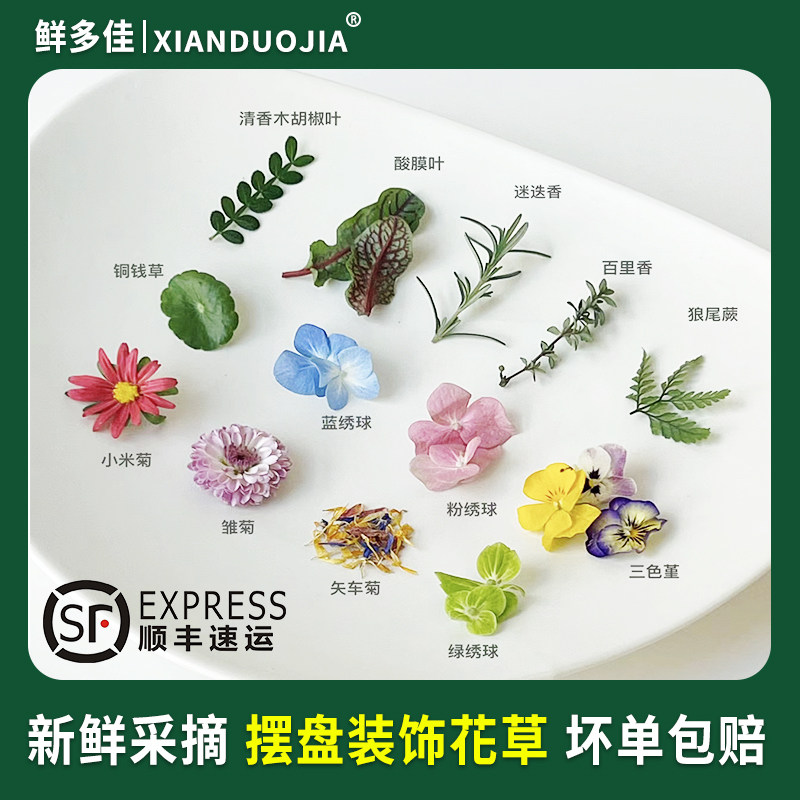 西餐摆盘装饰花草新鲜食用花烘培蛋糕装饰叶子薄荷叶清香木三色堇-图2