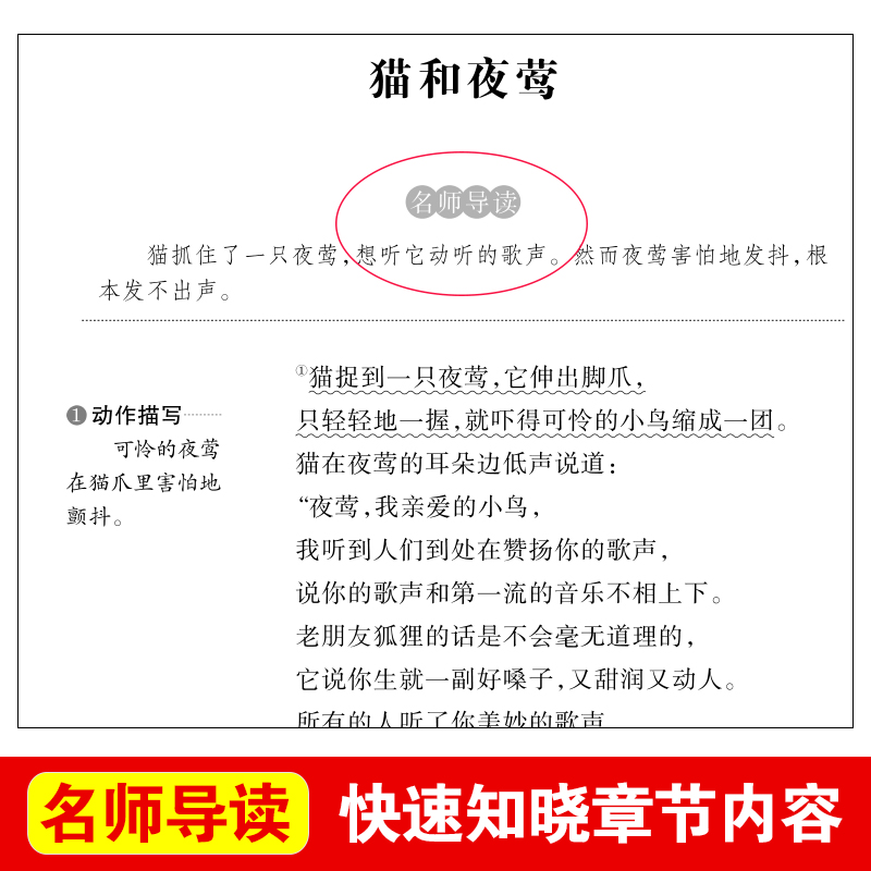 伊索寓言 克雷洛夫寓言 中国古代寓言故事 全集小学版正版原著全套3册快乐读书吧三年级下册下学期小学生课外阅读书籍适读经典书目 - 图1