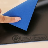 CNSTT Casetine Green Dragon Table Tennis Клейт Клейт Анти -Глюй Теннис Ракетка Резиновая синяя дьявольная губка