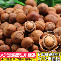 New stock Daxing Anling wild hazelnut snacks small grain Northeast hazelnut 500g No Add