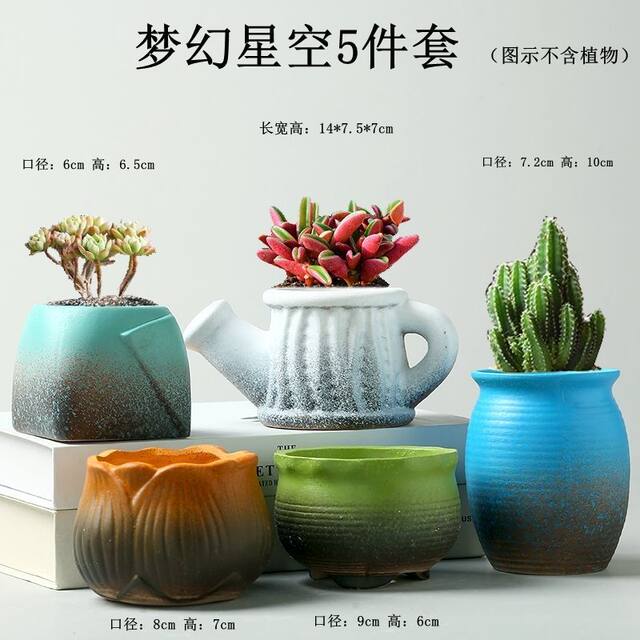 Pastoral set succulent flowerpot ceramic retro