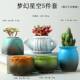 Pastoral set succulent flowerpot ceramic retro