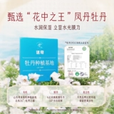 迷奇 Ночная увлажняющая маска для лица содержит никотиновую кислоту