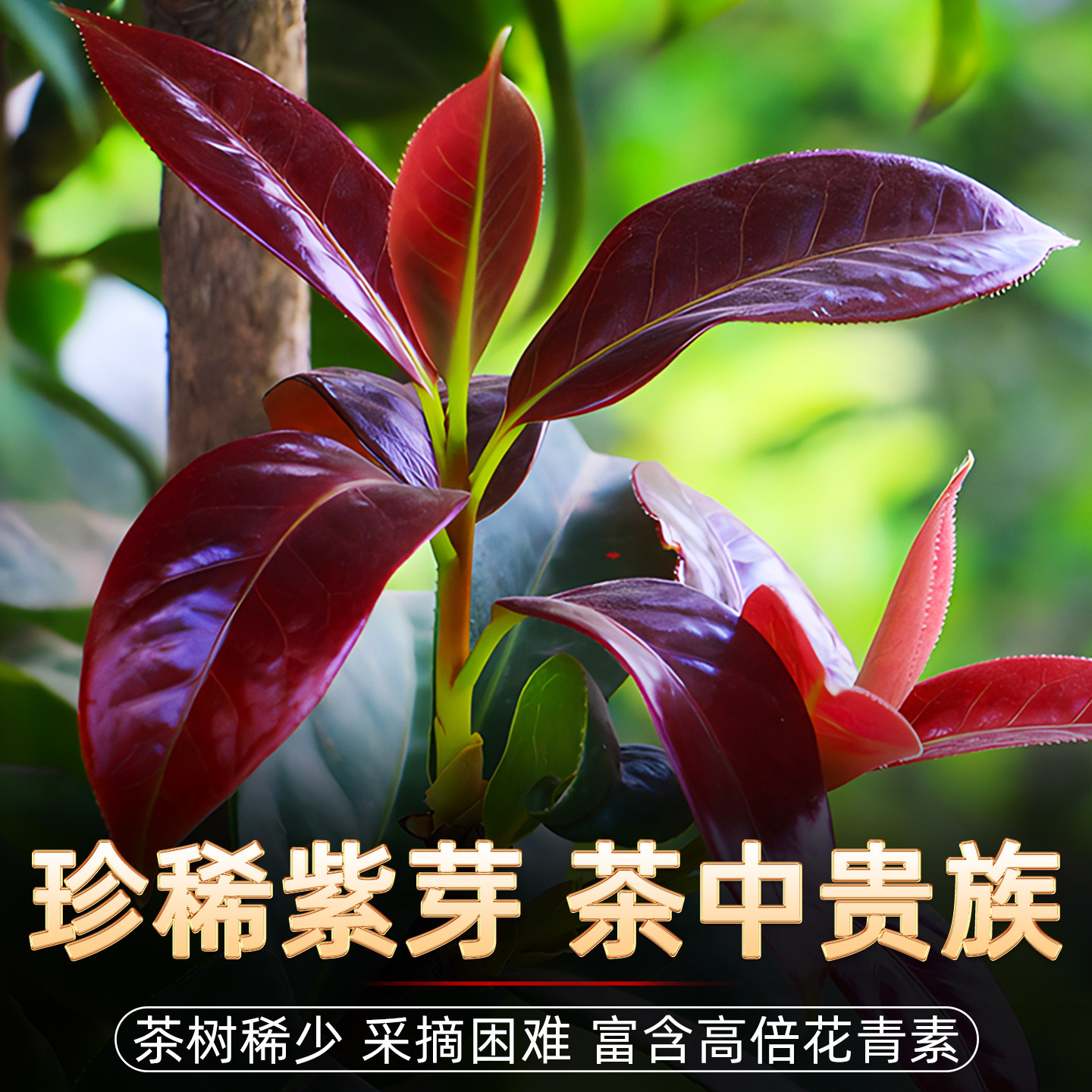 新益号普洱茶熟茶十年以上布朗山古树紫芽茶云南七子饼茶叶自己喝,淘宝优惠券,粉丝福利购,淘宝优惠卷