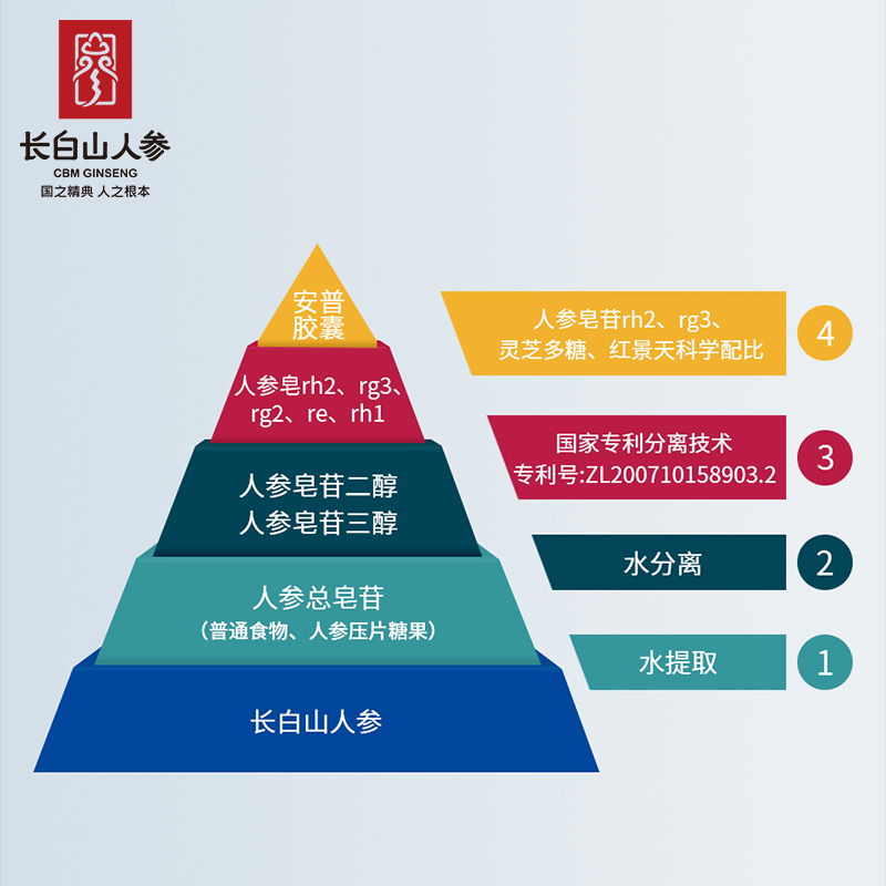 安普胶囊增强免疫力稀有人参皂苷rg3人参皂苷rh2红景天苷灵芝多糖 - 图2