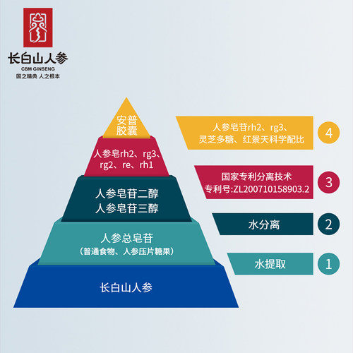 安普胶囊稀有人参皂苷rg3人参皂苷rh2红景天苷灵芝多糖 - 图1