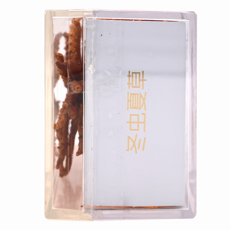 健之佳冬虫夏草5g/盒西藏冬虫夏草
