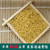 Authentic Inner Mongolia edible pure mustard seeds free shipping