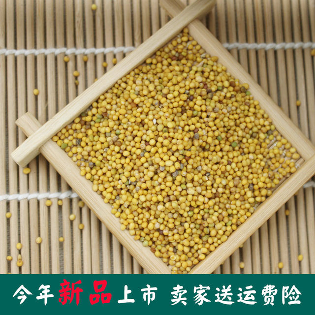 Authentic Inner Mongolian edible pure mustard seeds