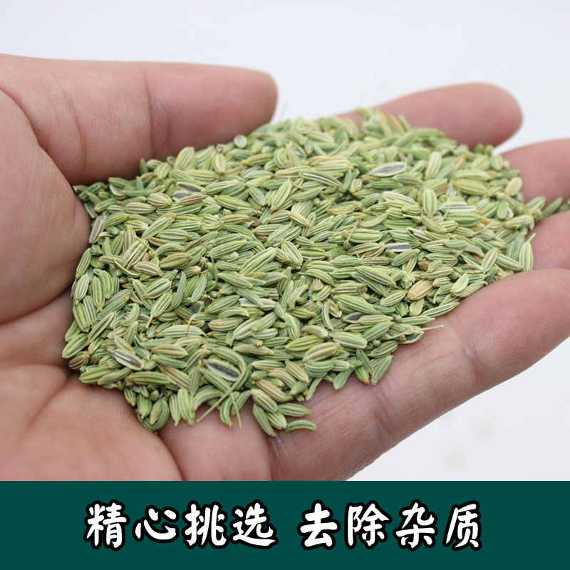 2023年新货产新小茴香籽手选精选茴子500g250克包邮调香料卤料 - 图2