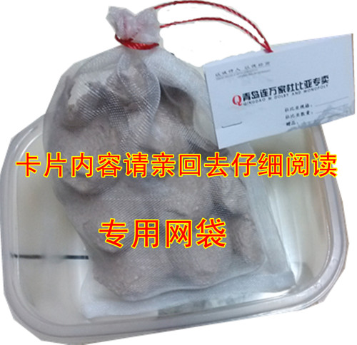 杜比亚蟑螂活体代替蟋蟀面包虫蜈蚣饲料幼体亚成体龙鱼爬虫鸟类 - 图2