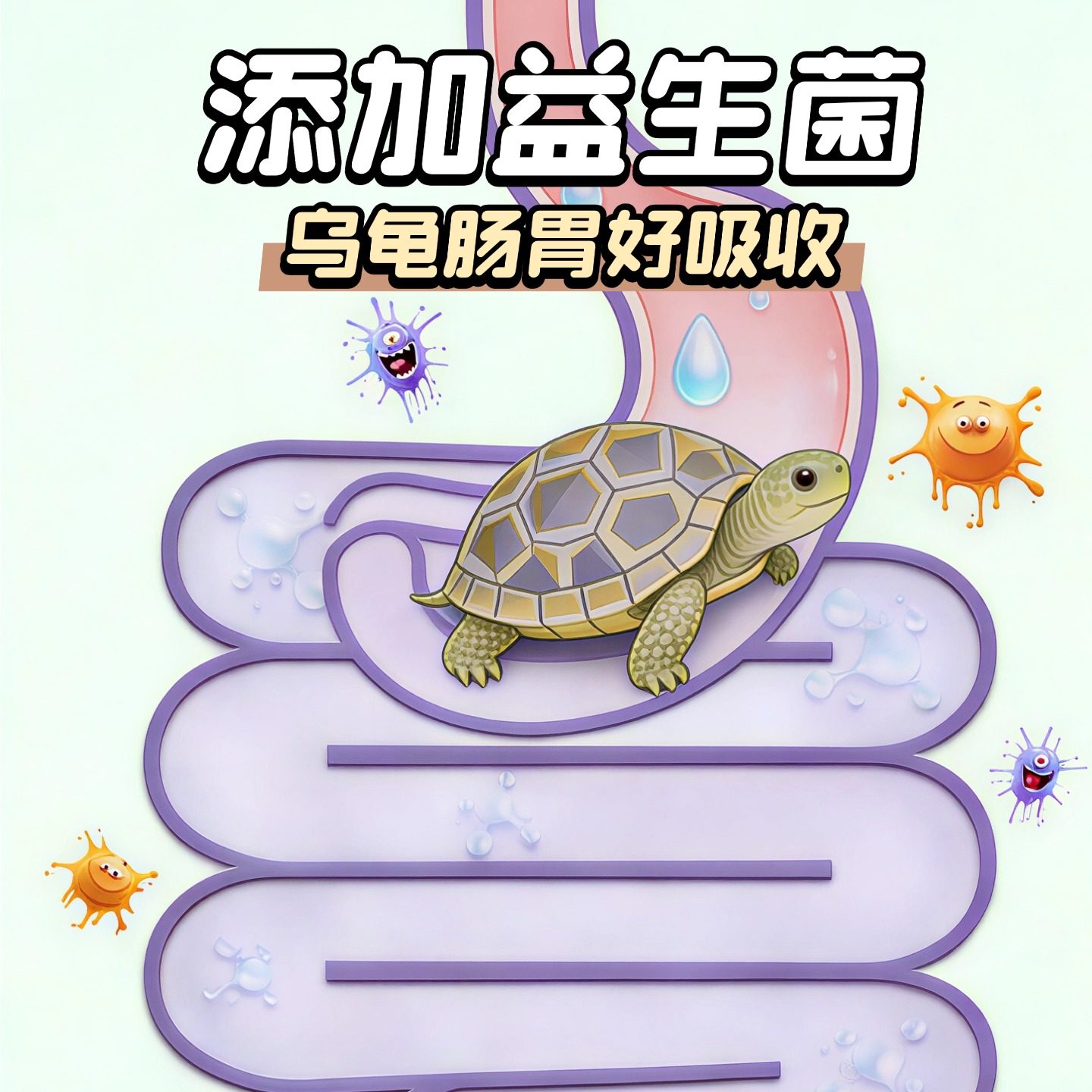 厂家直供乌龟粮宠物龟金钱龟巴西龟草龟鳄龟饲料乌龟饲料发,淘宝优惠券,粉丝福利购,淘宝优惠卷