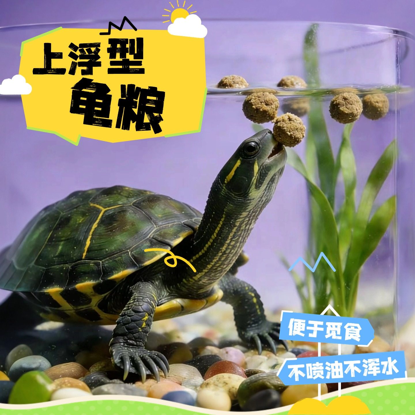 厂家直供乌龟粮宠物龟金钱龟巴西龟草龟鳄龟饲料乌龟饲料发,淘宝优惠券,粉丝福利购,淘宝优惠卷