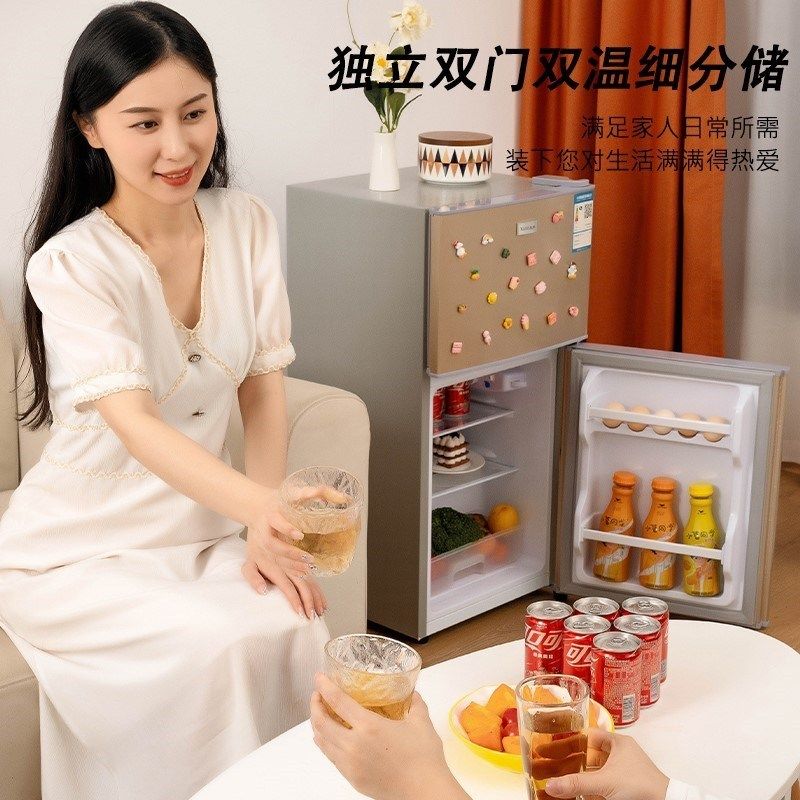 一级节能小冰箱家用小型二人宿舍租房用迷你省电办公室双门电冰箱,淘宝优惠券,粉丝福利购,淘宝优惠卷