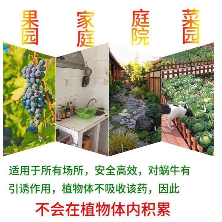 蜗牛药四聚乙醛福寿螺鼻涕虫蛞蝓软体害虫喷液体施型螺丝杀虫剂 - 图1