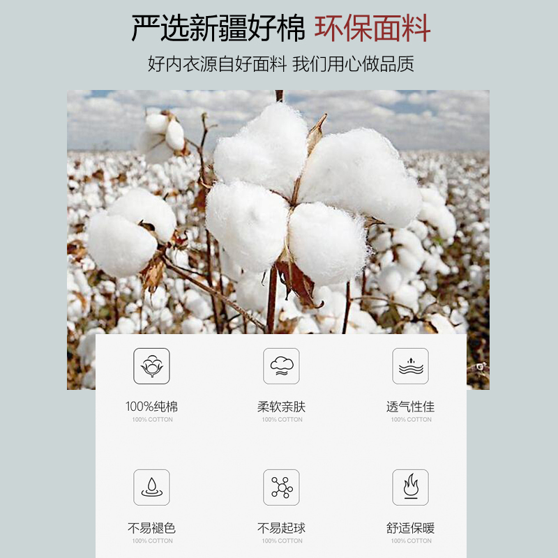 红妮男士单件上衣秋衣中领小圆领纯全棉宽松青年中老年保暖内衣男 - 图2