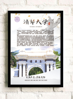 北大清华复旦浙江大学同济交大
