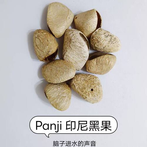 印尼进口植物果壳风铃diy材料包已打孔抛光摇铃包挂配件手工果壳 - 图3