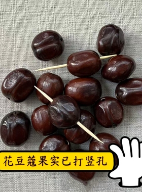 花豆寇果实diy挂件果壳娃娃配件树籽菩提包挂件原籽摇铃通货现货
