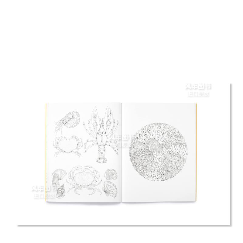 【现货】【涂色书】美丽的植物 Leila Duly’s Beautiful Planet:An Intricate Colouring Book英文儿童趣味原版图书进口外版书籍 - 图3