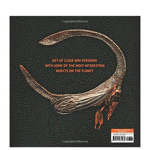 【现货】奇异的自然:Levon Biss的昆虫摄影 Strange Nature: The Insect Portraits of Levon Biss 原版英文青少年读物 进口图书 - 图0