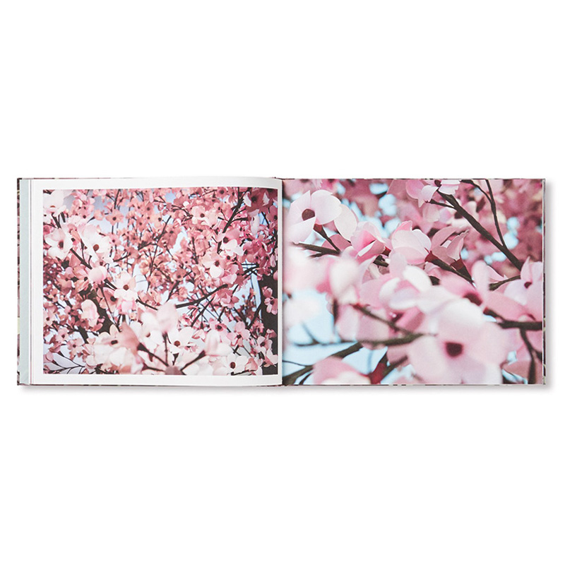 【现货】Blossom繁花 艺术家Thomas Demand+作家Ben Lerner摄影集画册 英文原版进口 MACK出版书籍 - 图1