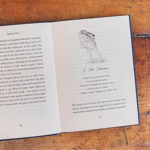 【现货】【2025英国女性非虚构写作奖短名单】养兔札记 Raising Hare 《时代》杂志精选必读书籍 原版英文文学散文图书自然治愈 - 图3
