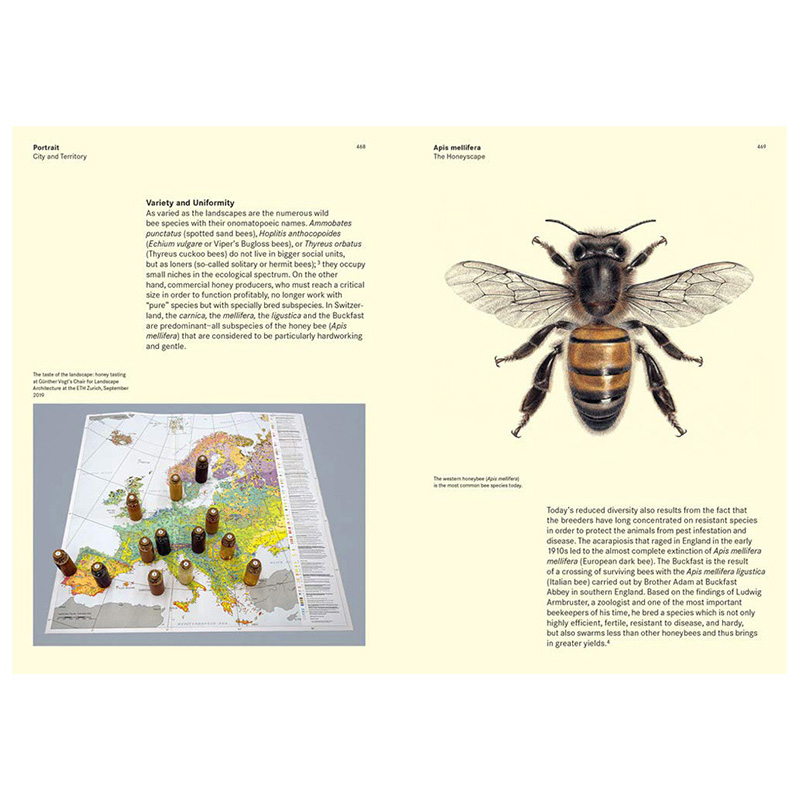 【现货】Mutation and Morphosis 变化和形态形成:景观作为集合体 园林景观设计书籍进口原版 - 图3