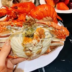 5-7两1只北京闪送鲜活满黄沙母蟹母梭子蟹膏蟹满肉螃蟹海鲜海蟹飞 - 图0