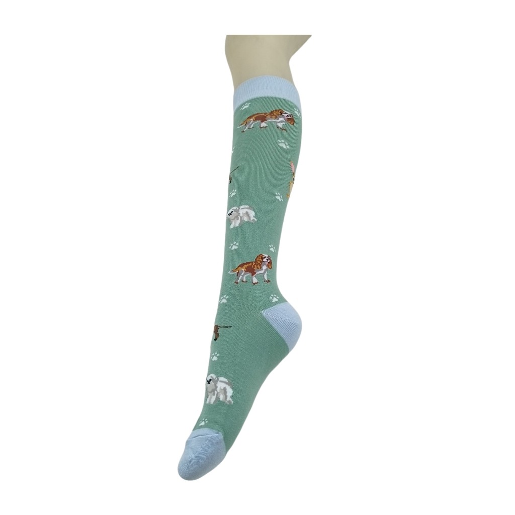 日单  浅色系可爱俏皮小狗图案宽袜口春秋款小腿袜,淘宝优惠券,粉丝福利购,淘宝优惠卷