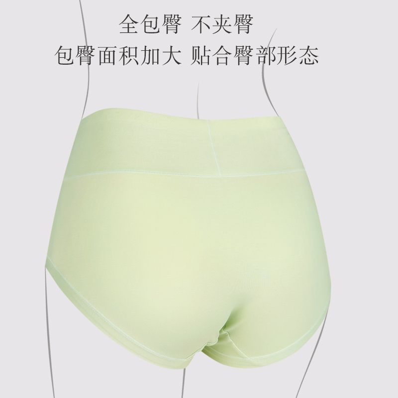 内裤女士纯棉7a级抗菌100%全棉裆2025新款中高腰女式大码三角短裤 - 图3