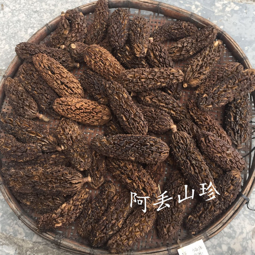 广西金秀大瑶山传统滋补品其他农家土特产厚朴果干货食材一斤包邮 - 图1