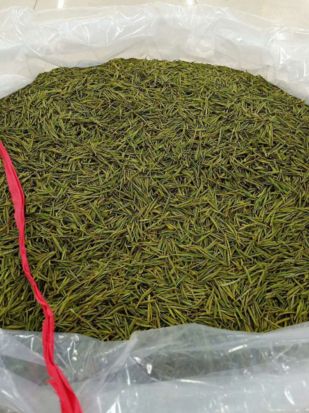 安吉白茶 茶叶 2020新茶 绿茶 原生态茶叶 明前茶 - 图0