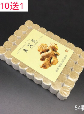 艾灸女性红花陈年艾柱