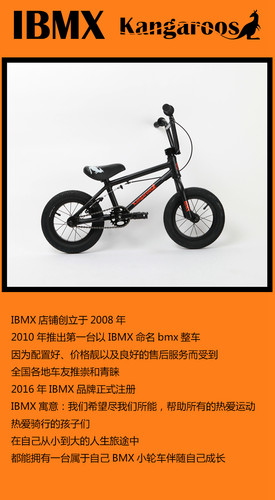 新款IBMX12寸儿童bmx小轮车Kangaroo铝合金Pro款 4.9kg 哑光黑 - 图0