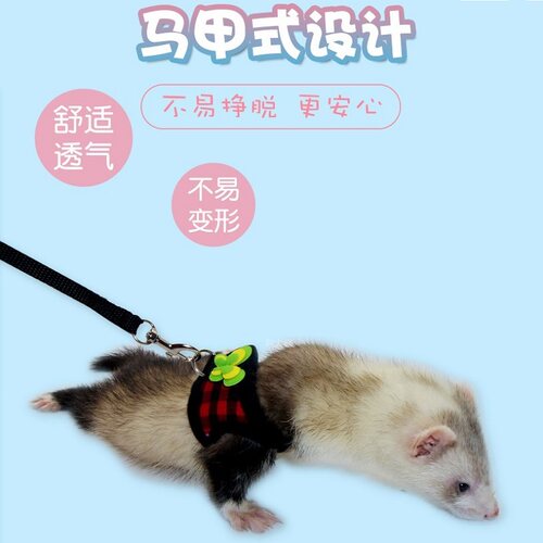 宠物貂牵引绳外出绳土拨鼠雪貂背心外出牵引绳侏儒兔子背心外出绳 - 图2