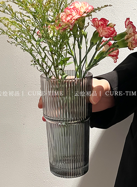 鲜花花瓶ins风高颜值客厅摆件简约透明玻璃花瓶桌面插花水养干花