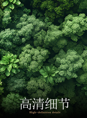 【小红书推荐】适合大白墙挂画