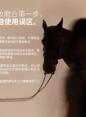 持妆织绪限定干皮气垫玛丽黛佳