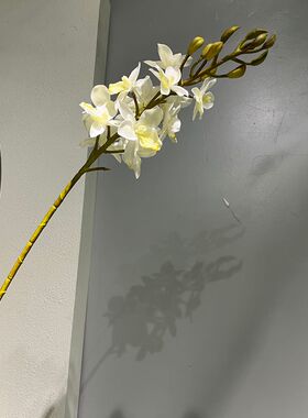 高品质手感仿真慧兰千鸟兰