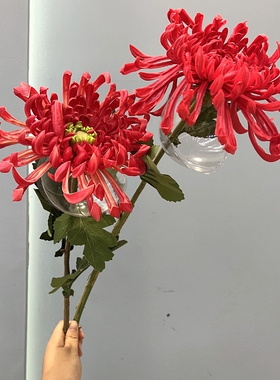 凤尾菊大丽花悟物语新中式花艺