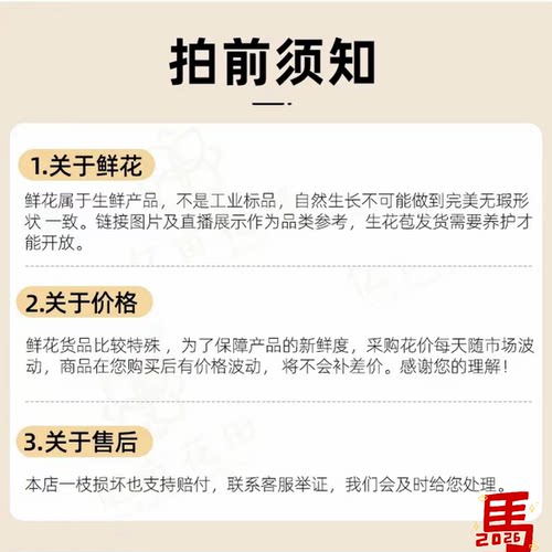 当日发货碎冰蓝折射40-50朵花10支多头玫瑰鲜切花顺丰包邮次日达 - 图2