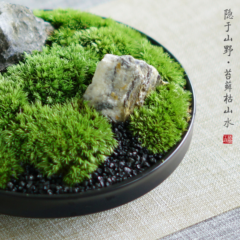 新中式日式禅意苔藓永生白发藓枯山水摆件书房办公桌茶几售楼处植