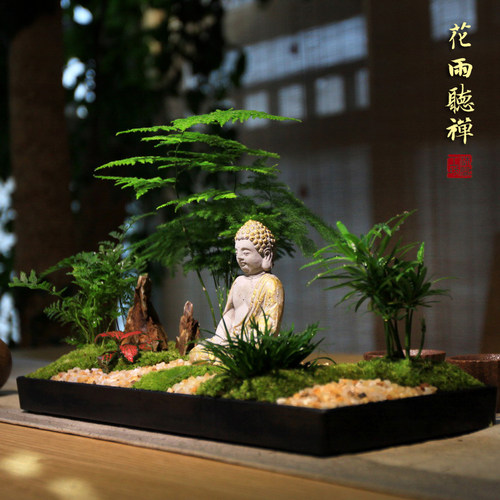 花雨听禅中式枯山水盆景组合盆栽文竹苔藓微景观菖蒲微型禅意茶室 - 图2