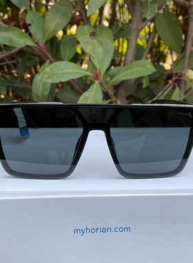 海俪恩太阳镜墨镜N8205