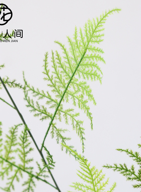 高品质文竹仿真绿植中式禅意插花花艺家居装饰摆件古风拍摄道具花