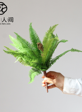高品质仿真蕨叶软胶排草蕨类绿植装饰植物墙造景花材铁线蕨波斯草