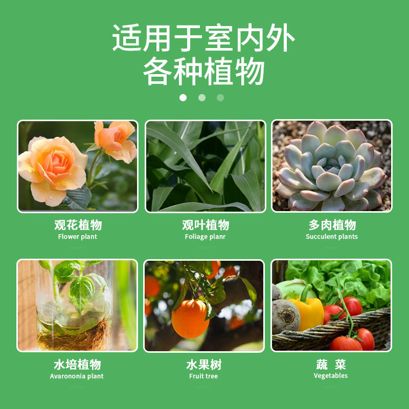 通用营养液植物盆栽养花绿萝君子兰花水培土培绿植发财树多肉花肥 - 图0