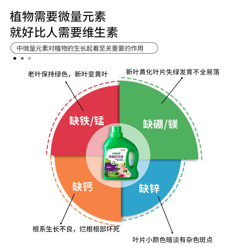 通用营养液植物盆栽养花绿萝君子兰花水培土培绿植发财树多肉花肥 - 图2