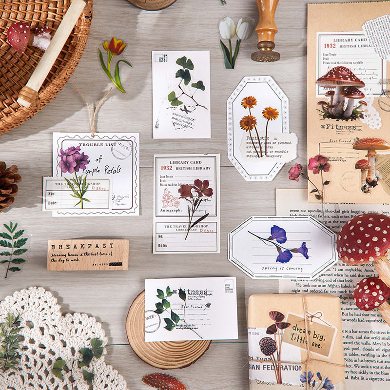 拾光自然絮语PET贴纸复古花卉花朵蘑菇仿干花树叶文艺DIY素材装饰,淘宝优惠券,粉丝福利购,淘宝优惠卷